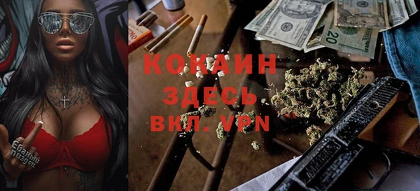 хмурый Алзамай