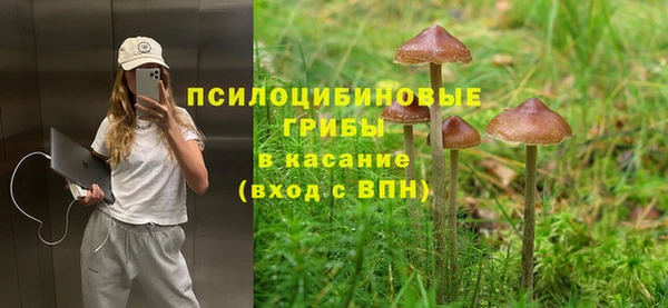 хмурый Алзамай