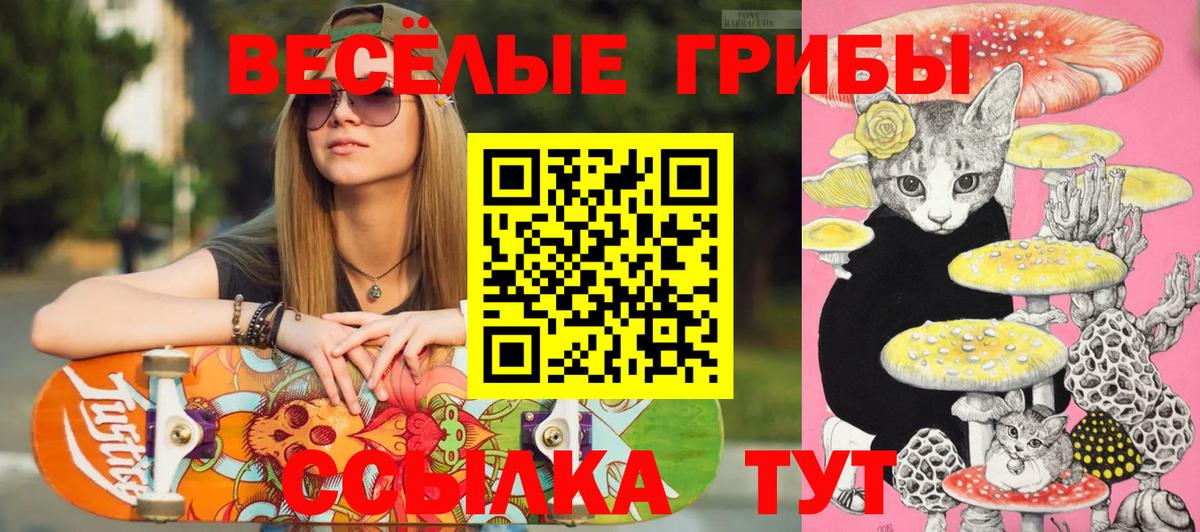 Псилоцибиновые грибы ЛСД  Вход с VPN  Морозовск  Галлюциногенные грибы Psilocybe 
