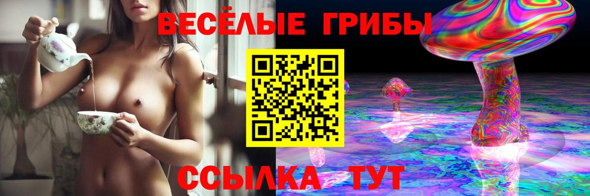 Галлюциногенные грибы Cubensis Морозовск